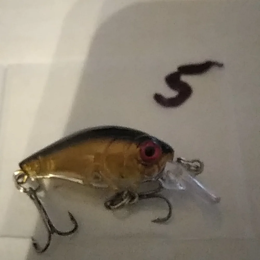 Crank Fishing Bait - Picture 6 of 9